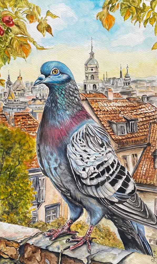 KURU KALEM SULU BOYA